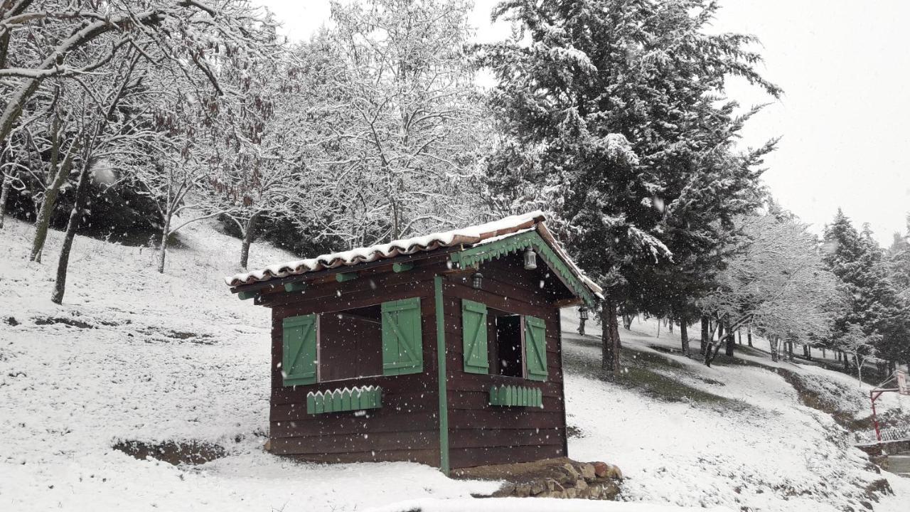 Traditional Guesthouse Trikala  Exterior photo